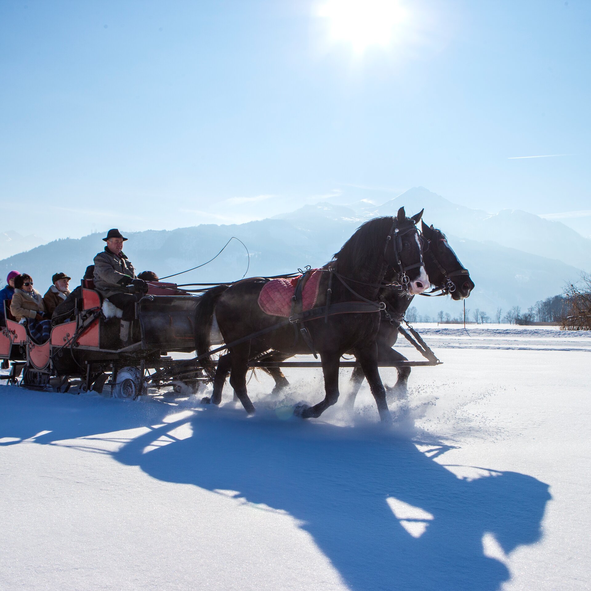 horse-drawn sleigh ride winter Kaprun