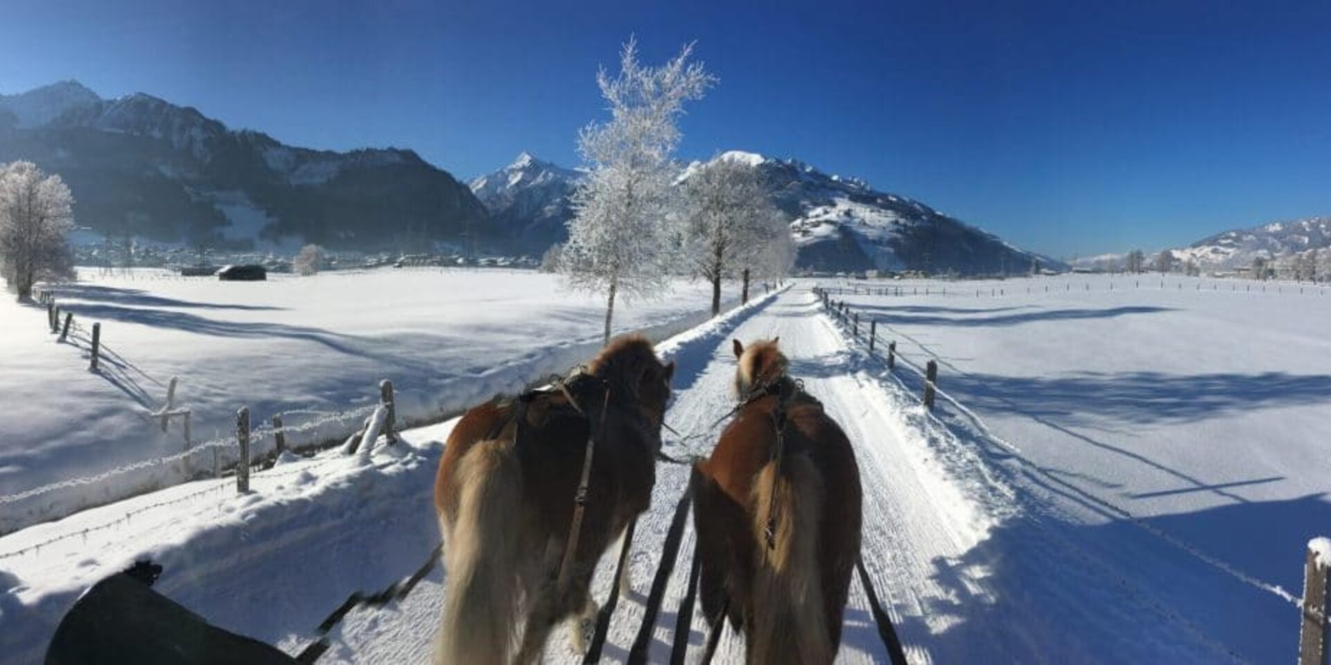 horse-drawn sleigh ride in winter in Kaprun